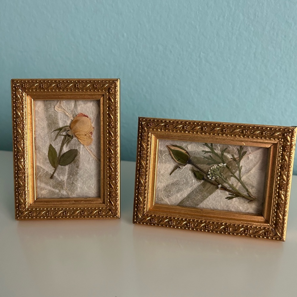Pressed & Framed Teacup Roses (Set of 2)